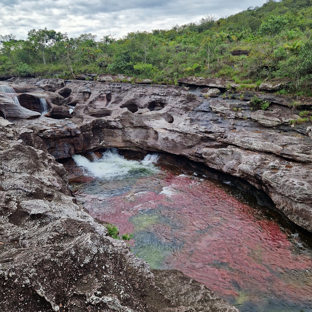 Caño Cristales