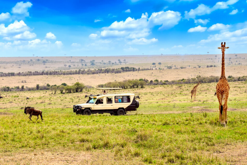 Safari en el Masái Mara — MCL Travel